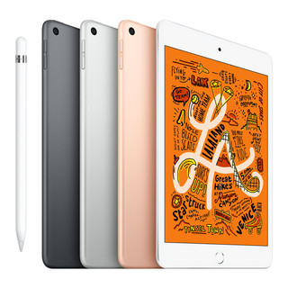 Apple 苹果 iPad mini 5 2019款 壳膜套装 7.9英寸 iPadOS 平板电脑(2048*1536dpi、A12、256GB、WLAN版、深空灰色、MUU32CH/A)