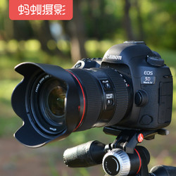Canon 佳能 5d4单反 蚂蚁摄影 数码高清单反照相机专业级高级