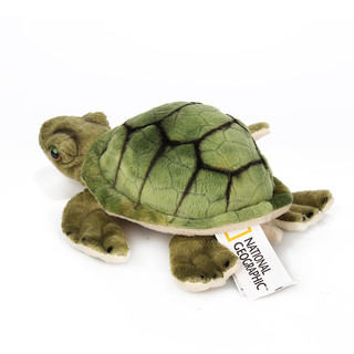 国家地理NG海洋系列 海龟 15cm仿真动物毛绒玩具公仔亲子送女友生日礼物