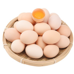 我老家 农家散养土鸡蛋 新鲜柴鸡蛋谷物虫草笨鸡蛋绿壳乌鸡蛋 40枚珍珠棉 珍珠棉发货
