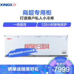 XINGX 星星 BD/BC-1598GE 1507升 商用卧式冷柜 冷冻冷藏转换 一级能效 超大容量 一键除霜