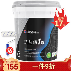 CARPOLY 嘉宝莉 抗泛碱特种防水涂料抗盐硝1号强力翻新补漏 5.5kg治理装（内含清洗剂）