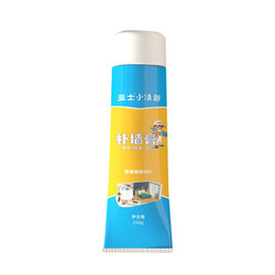 ASIA PAINT 亚士漆 防水补墙膏 250g