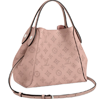 LOUIS VUITTON 路易威登 HINA系列 女士小号手袋 M54353 MAGNOLIA