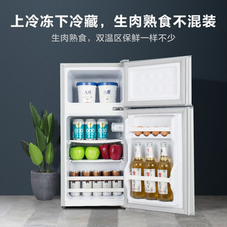 志高（CHIGO）BCD-53A138 53升双门小型冰箱 宿舍租房用冷藏冷冻电冰箱 节能省电家用迷你小冰箱