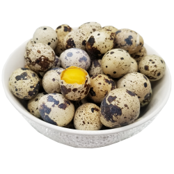 呈祥现捡新鲜生鹌鹑蛋鹑鸟蛋35枚