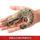 jufuxian 聚福鲜 活冻黑虎虾 超大24-32只 毛重2.4kg