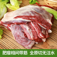 嗨胃 原切牛腩肉鲜冻黄牛肉   3斤超市品质