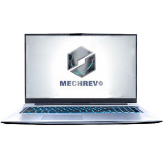 MECHREVO 机械革命 深海泰坦 X8 Pro 11代酷睿版 17.3英寸 游戏本 银色 (酷睿i7-11800、RTX 3060 6G、8GB、512GB SSD、1080P、IPS、144Hz)