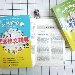 《小升初作文大全》（套装共4册）