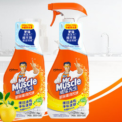 Mr Muscle 威猛先生 厨房重油污净强力去除家用抽油烟机清洗剂650g*2瓶