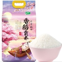 今日必买：SHI YUE DAO TIAN 十月稻田 香稻贡米 5kg