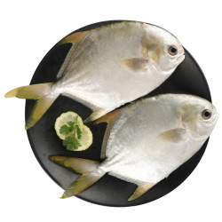 wens温氏心厨国产海南金鲳鱼700g2条装原条国内海域