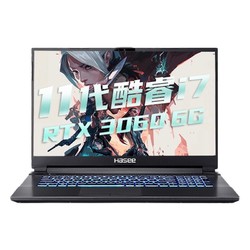 Hasee 神舟 战神 G8-TA7NP 17.3英寸游戏笔记本电脑（i7-11800H、16GB、512GB SSD、RTX3060）