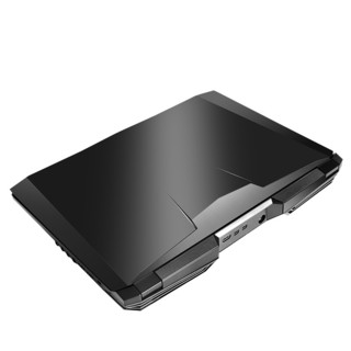 Hasee 神舟 战神 GX8-CR6S1 17.3英寸 游戏本 黑色(酷睿i5-9600K、GTX 1070 8G、8GB、256GB SSD、1080P、IPS、120Hz ）
