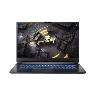 Hasee 神舟 战神 G7T-CU5NA 17.3英寸 游戏本 黑色(酷睿i5-10300H、GTX 1650TI 4G、8GB、512GB SSD、1080P、IPS、144Hz）