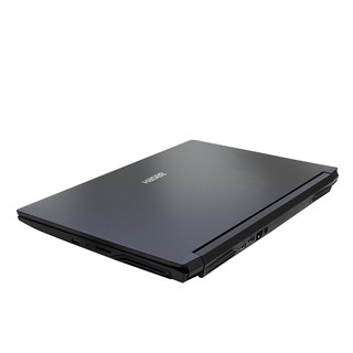 Hasee 神舟 战神 G8-CT7NK 17.3英寸 游戏本 黑色(酷睿i7-9750H、RTX 2060 6G、16GB、256GB SSD+1TB HDD、1080P、IPS、144Hz)