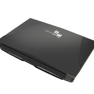 Hasee 神舟 战神 Z6-KP5S1 15.6英寸 游戏本 黑色(酷睿i5-7300HQ、GTX 1050、8GB、256GB SSD、1080P）