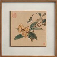 ARTGIFT 艺术家的礼物 林椿名作 花鸟系列《枇杷山鸟图》55×55cm 绢本设色