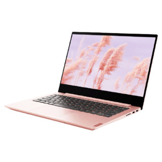 Lenovo 联想 小新 14 14.0英寸 10代酷睿版 轻薄本 仙女粉(酷睿i5-1035G1、MX250、8GB、1080P、IPS）