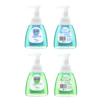 EVER GREEN 绿伞 泡沫洗手液300g*4瓶适用大人儿童抗菌清洗洁净家用洗手液