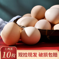 Shang Xi Yuan 双喜圆 土鸡蛋正宗农家散养10枚本鸡蛋谷物孕妇新鲜天然草鸡蛋整箱