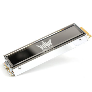 GALAXY 影驰 名人堂 HOF Pro 20 NVMe M.2 固态硬盘 2TB (PCI-E4.0)