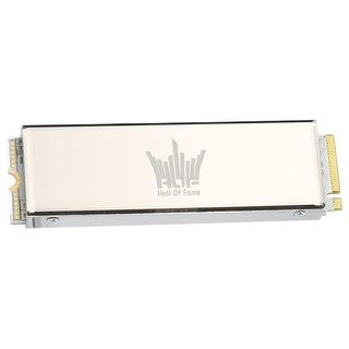 GALAXY 影驰 名人堂 HOF Pro 20 NVMe M.2 固态硬盘 2TB (PCI-E4.0)