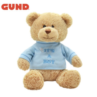 冈德 经典泰迪熊T恤熊系列 毛绒玩具 T恤熊-男孩 23cm