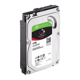 SEAGATE 希捷 酷狼IronWolf系列 3.5英寸 NAS硬盘 4TB (PMR、5900rpm、64MB) ST4000VN008