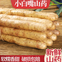 蜜和来 铁棍山药 5斤装