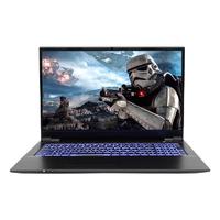 Shinelon 炫龙 DD3 15.6英寸 游戏本 黑色(酷睿i5-10400、GTX 1650Ti 4G、16GB、512GB SSD、1080P、IPS、144Hz)