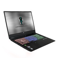 TERRANS FORCE 未来人类 新生T7 9代酷睿版 17.3英寸 游戏本 灰色(酷睿i7-9750H、RTX 2070 Max-Q、16GB、512GB SSD+1TB HDD、1080P、IPS、144Hz)
