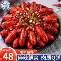 海味达 麻辣小龙虾 4-6钱 700g*1盒