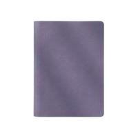 Geeyear 锦一文具 净面系列 GY-1034 A5活页笔记本 浅紫色 单本装