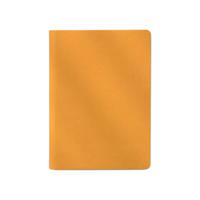 Geeyear 锦一文具 净面系列 GY-1034 A5活页笔记本 明橙色 单本装