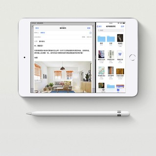Apple 苹果 iPad mini 5 2019款 7.9英寸 平板电脑 (2048*1536dpi、A12、64GB、Cellular版、银色、MUXR2CH/A)