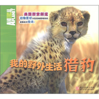 《我的野外生活·猎豹》