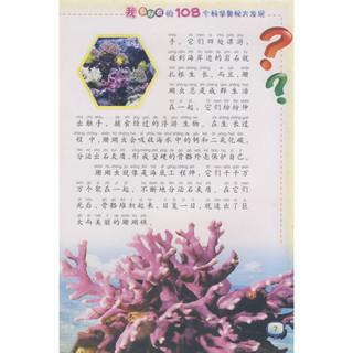 《我最好奇的108个科学奥秘大发现·动物狂欢节》