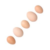 xinghuo 星火 鲜鸡蛋 40枚