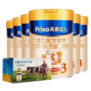 Friso 美素佳儿 金装系列 幼儿奶粉 国行版 3段 900g*6罐 荷兰梵高联名限量版礼盒