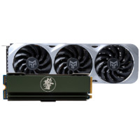 GALAXY 影驰 GeForce RTX 3060Ti 金属大师 OC 显卡 8GB+擎 1TB SSD 套装