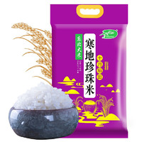 SHI YUE DAO TIAN 十月稻田 寒地珍珠米5kg东北大米10斤农家圆粒米 黑龙江大米 粳米
