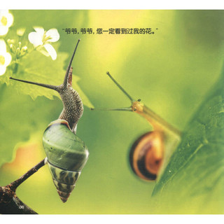《乐乐小动物·蜗牛的花》