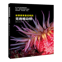 《世界原来是这样的·无脊椎动物》