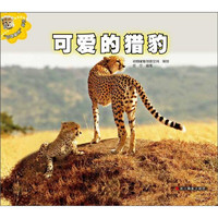 《动物星座丛书·可爱的猎豹》