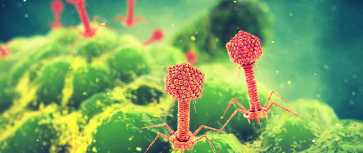 噬菌体中文名噬菌体别名细菌病毒英文名phage名词解释噬菌体(phage)是