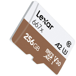 Lexar 雷克沙 microSD存储卡（UHS-I、V30、A2）