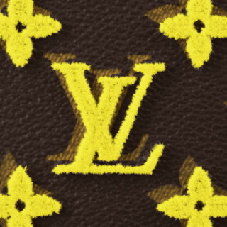 LOUIS VUITTON 路易威登 VERTICAL SOFT TRUNK系列 手袋 M450