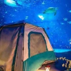 上海海昌海洋公园夜宿票火山鲨鱼馆1晚(含两日门票+早晚餐+夜宿+夜游+科普课堂)